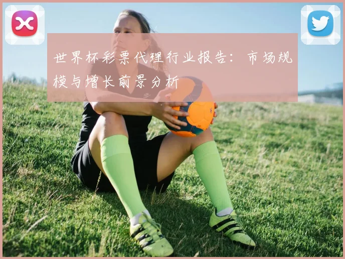 世界杯彩票代理行业报告:市场规模与增长前景分析