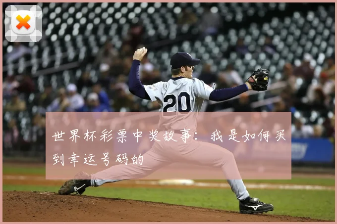 世界杯彩票中奖故事:我是如何买到幸运号码的