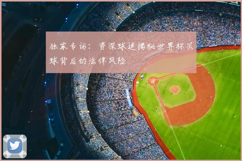 独家专访:资深球迷揭秘世界杯买球背后的法律风险