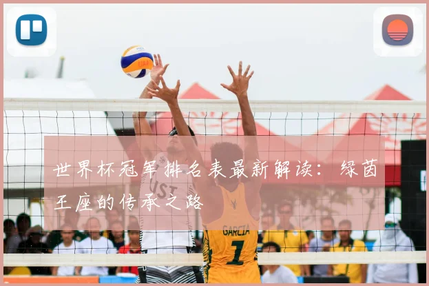 世界杯冠军排名表最新解读：绿茵王座的传承之路
