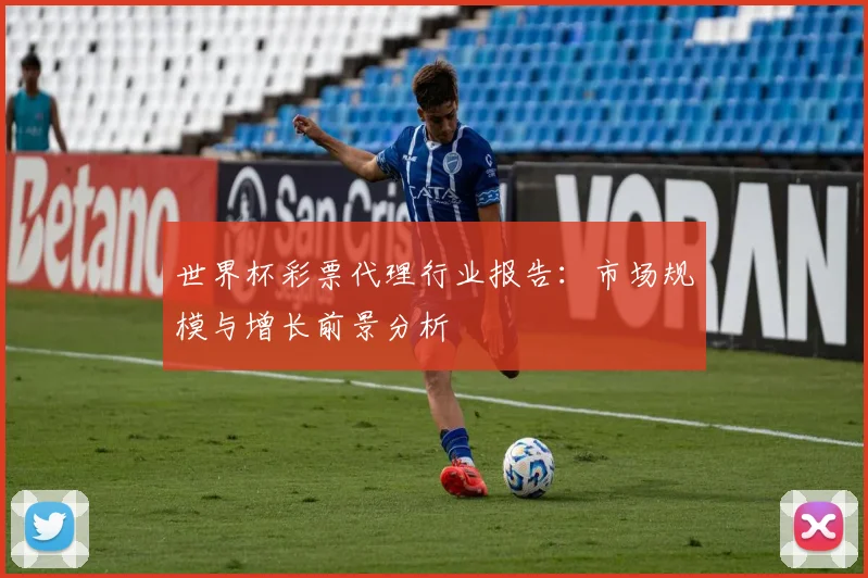 世界杯彩票代理行业报告：市场规模与增长前景分析