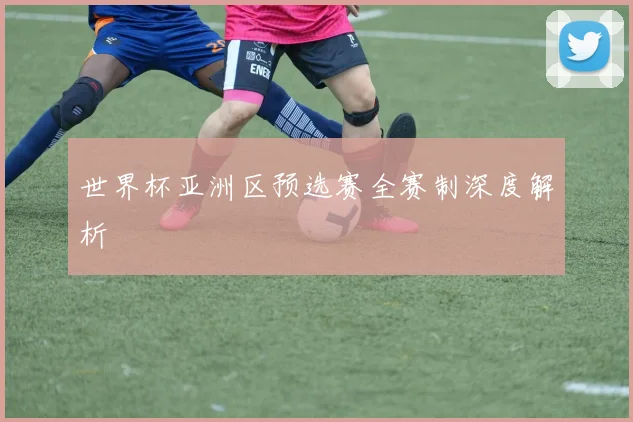 世界杯亚洲区预选赛全赛制深度解析
