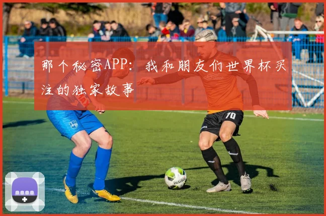 那个秘密APP：我和朋友们世界杯买注的独家故事