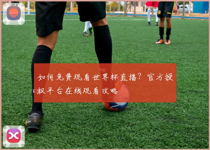 如何免费观看世界杯直播？官方授权平台在线观看攻略