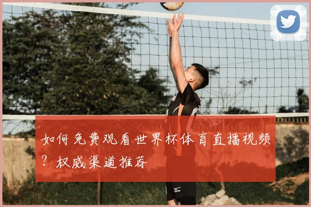 如何免费观看世界杯体育直播视频？权威渠道推荐