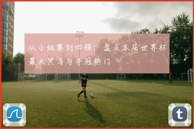 从小组赛到四强：盘点本届世界杯最大黑马与夺冠热门